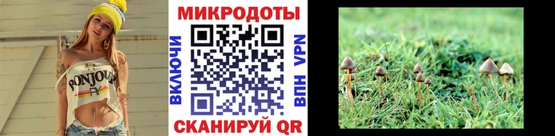 Купить закладки  Ленинск-Кузнецкий  Псилоцибиновые грибы Magic Shrooms 